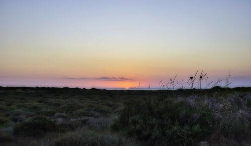 Scenic view of field against sky during sunset