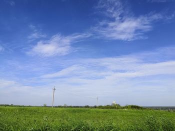 Sunny day in the field