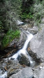 Stream flowing through rocks in forest