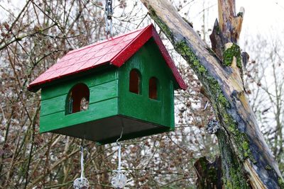 Low angle view of birdhouse on tree against building