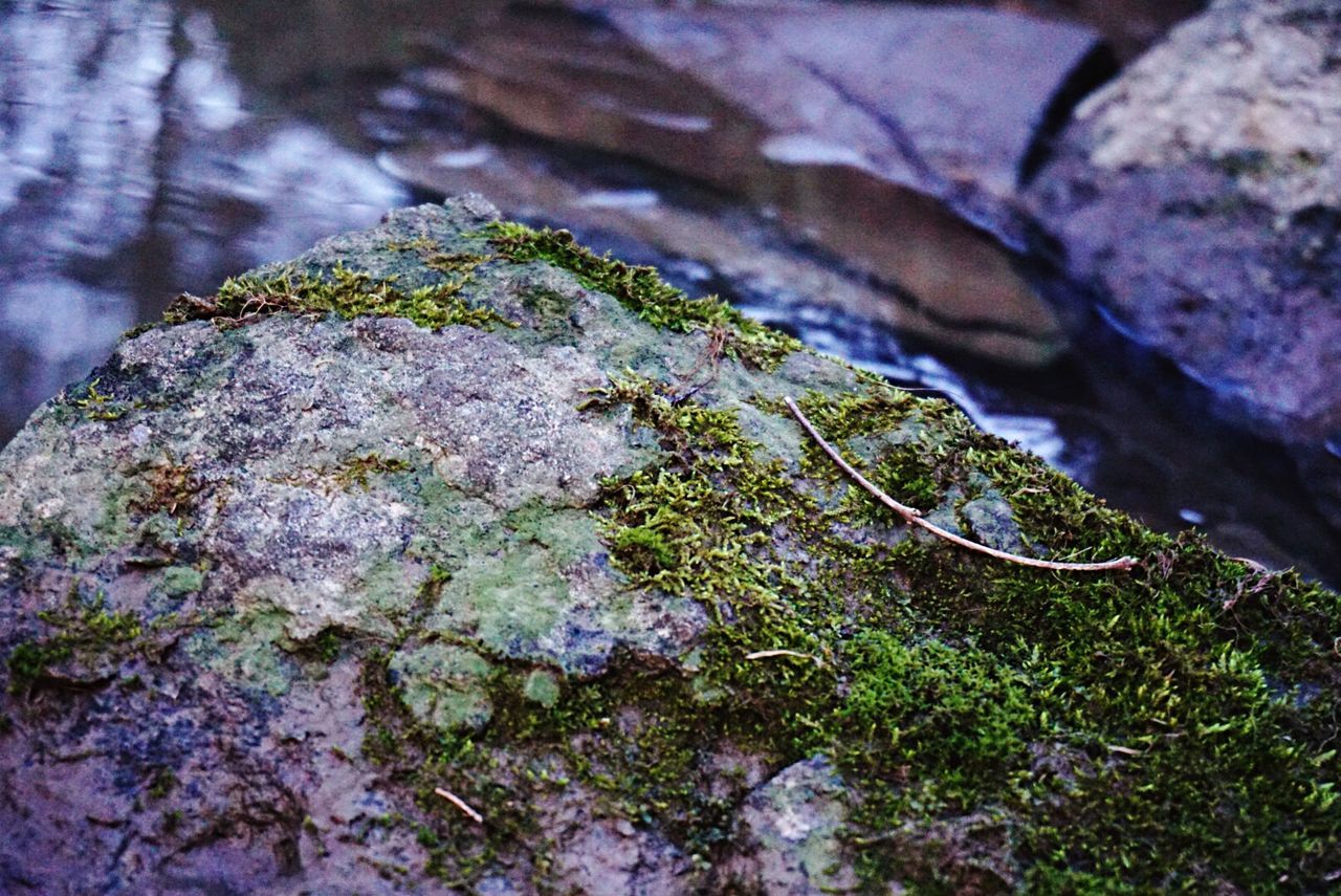 rock - object, nature, rock, rock formation, moss, beauty in nature, growth, textured, rough, close-up, tranquility, plant, outdoors, day, high angle view, no people, natural pattern, rocky, focus on foreground, selective focus