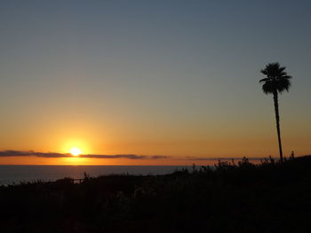 Silhouette palm trees by sea against sky during sunset