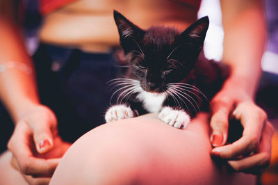 Midsection of woman with kitten sitting at home