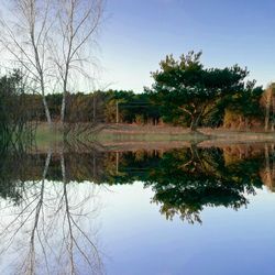 Reflection of trees in lake against clear sky