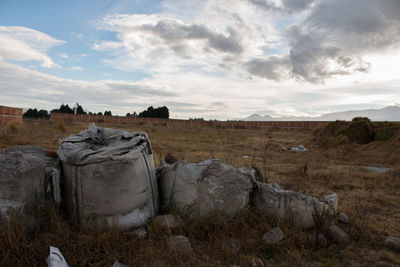 Scenic view of field against sky