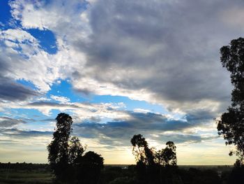 Silhouette trees on field against sky at sunset