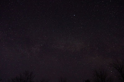 Low angle view of stars against sky at night