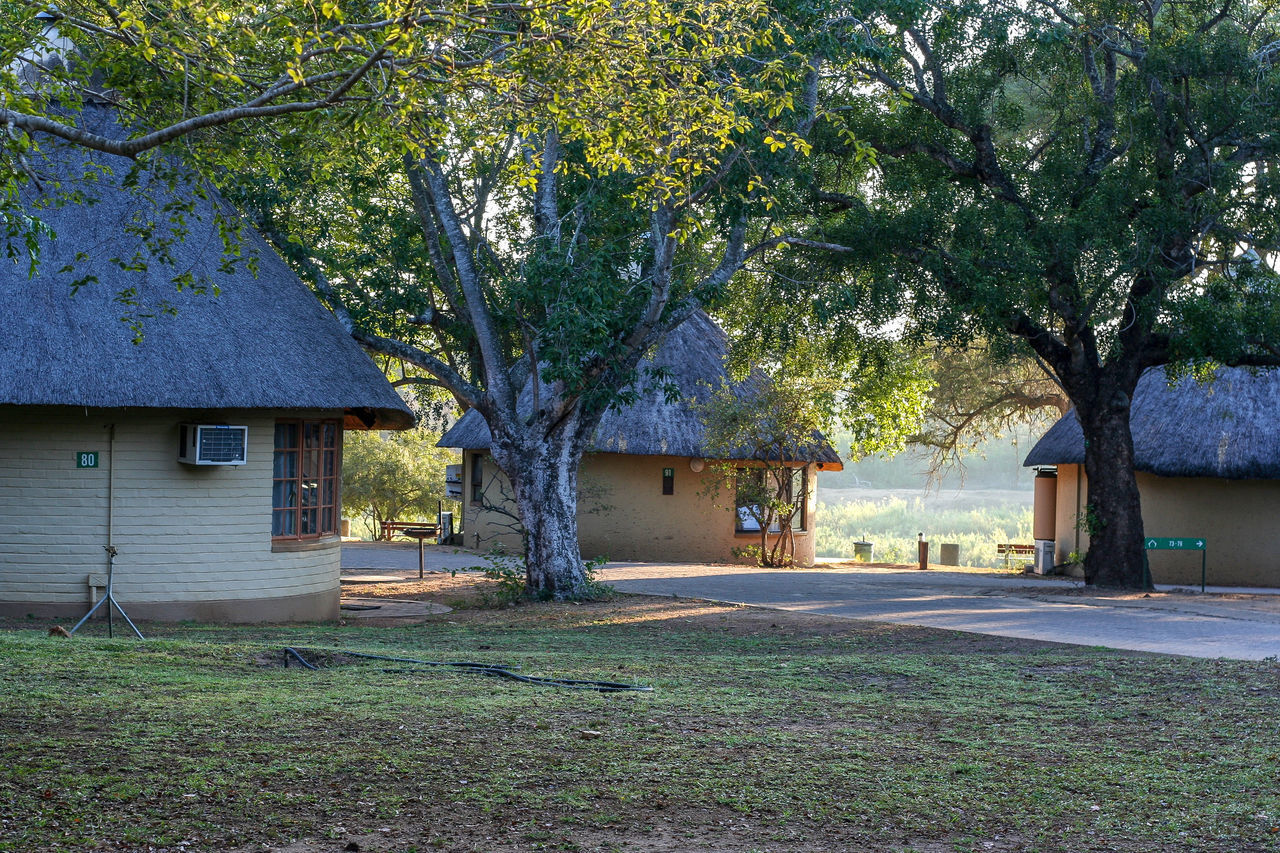 TREES AND HOUSES ON FIELD AGAINST BUILDING