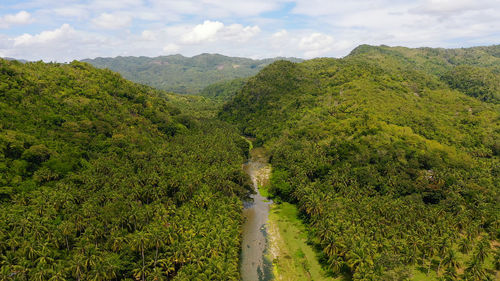 Mountain landscape with rainforest, aerial view.  a river in the mountains on leyte island