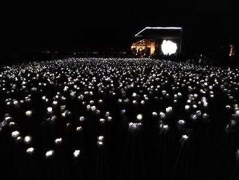 Group of people in the dark