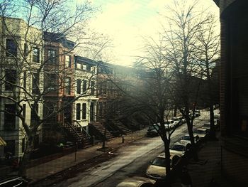 Buildings along bare trees