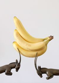 Close-up of fruit against white background