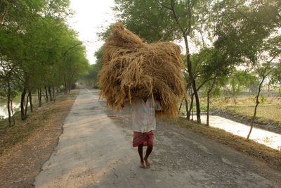 Farmer carrying hay bale on road amidst trees