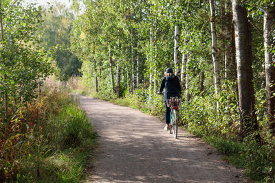 Rear view of man walking on footpath amidst trees