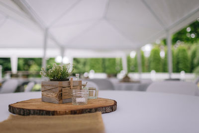 Centerpiece decorations with plants