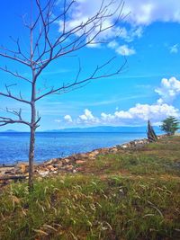 horizon over water