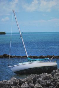 Sailboat in sea against sky