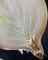 Close-up of water drops on glass against black background