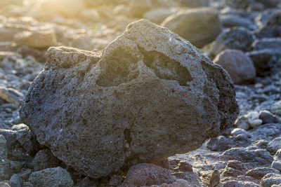 Close-up of stones on rock