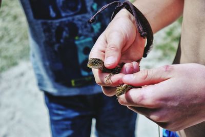 Close-up midsection of man holding lizard by friend standing on field