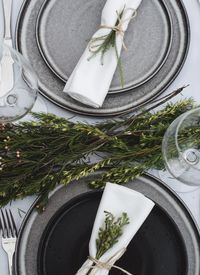 High angle view of potted plant on table