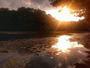 Reflection of trees in water at sunset