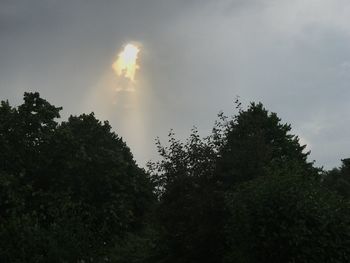 Low angle view of trees against sky during sunset