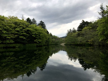 Scenic view of lake by trees against sky