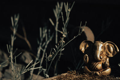 Close-up of buddha statue against plants