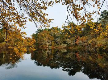 Reflection of trees in lake against sky during autumn