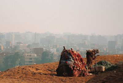 View of people looking at city buildings against clear sky