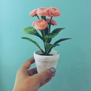 Close-up of hand holding flower pot against wall