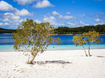 Scenic view of beach against sky