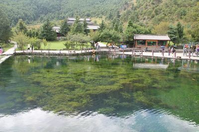 Scenic view of lake with trees in background