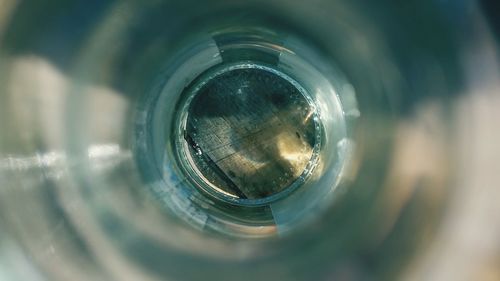 Reflection of trees in water