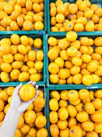 High angle view of fruits for sale at market