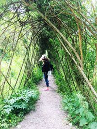 Rear view of woman walking on footpath in forest