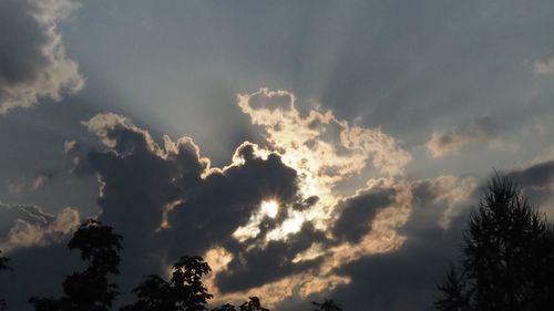 Low angle view of silhouette trees against sky during sunset