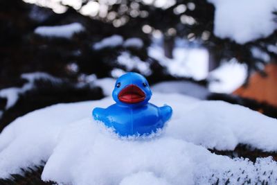 Close-up of snow in water