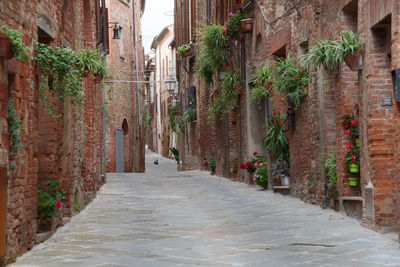 Narrow alley amidst buildings