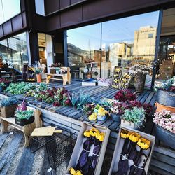 Various flowers in market