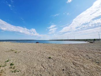 Scenic view of beach against blue sky