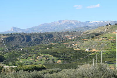 Scenic view of agricultural field against sky