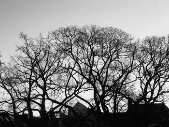 Low angle view of silhouette bare trees against clear sky