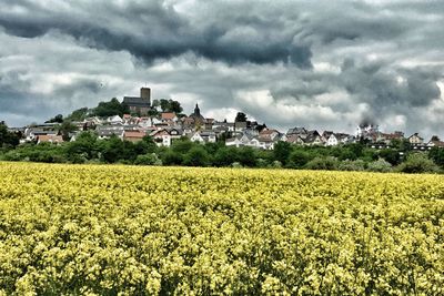 Scenic view of field against cloudy sky