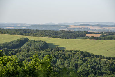 Scenic view of agricultural field against sky