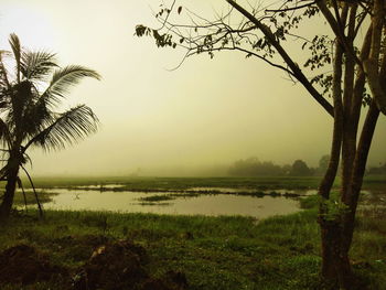 Scenic view of lake against clear sky