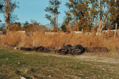 Hay bales on field against sky