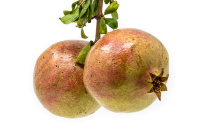 Close-up of apple against white background