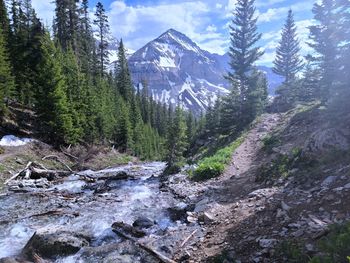 Hope lake trail - colorado 